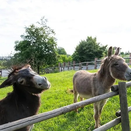 Villa Con Vista - Piscina E Barbecue Privati San Damiano dʼAsti